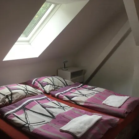 Real Guest house